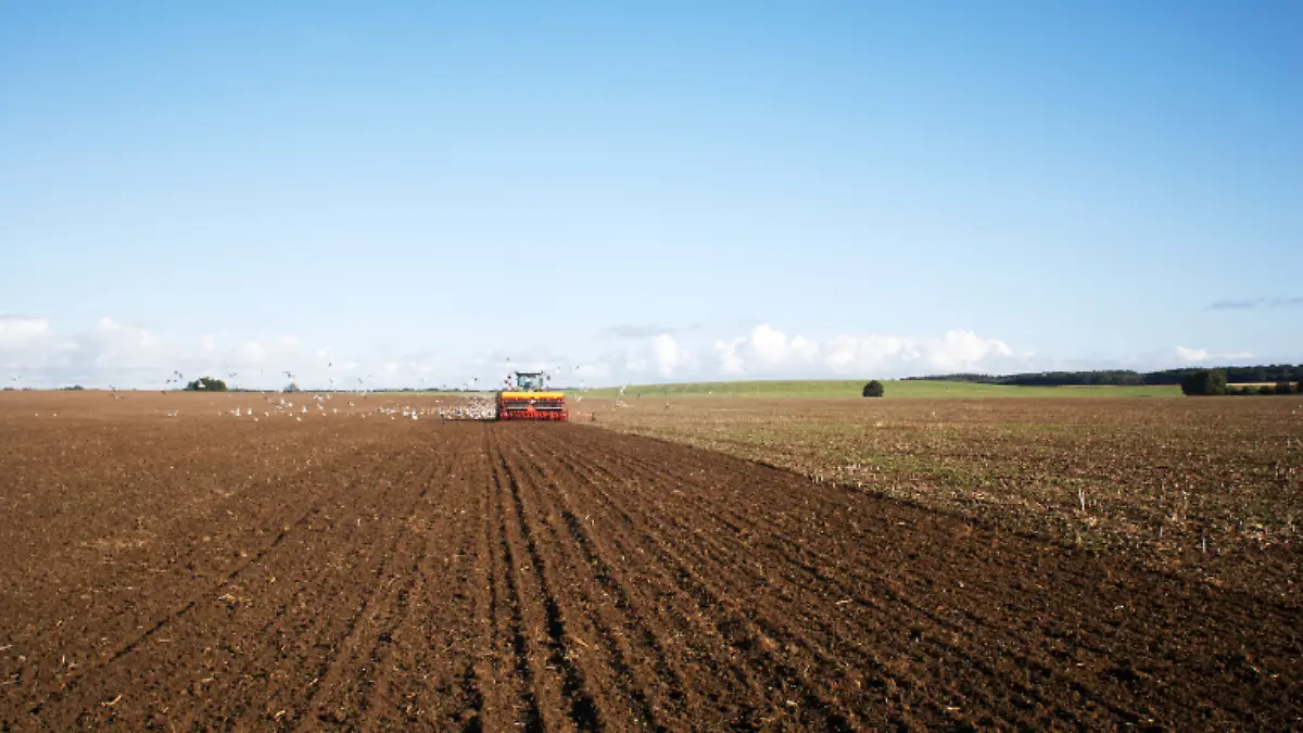 Siembra agricultores